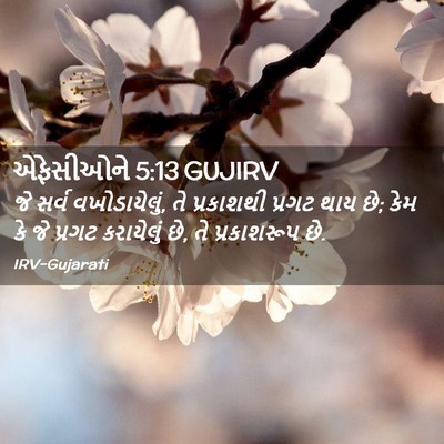 Picture 02 - એફેસીઓને 5:13 GUJIRV - જે સર્વ - Bible Verse Picture
