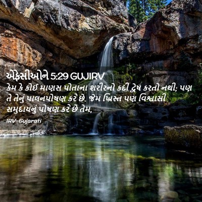 Picture 02 - એફેસીઓને 5:29 GUJIRV - કેમ કે કોઈ માણસ - Bible Verse Picture