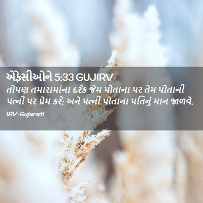 Picture 02 - એફેસીઓને 5:33 GUJIRV - તોપણ તમારામાંના - Bible Verse Picture