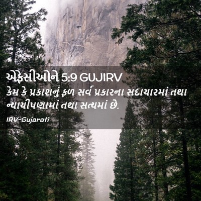 Picture 02 - એફેસીઓને 5:9 GUJIRV - કેમ કે પ્રકાશનું - Bible Verse Picture