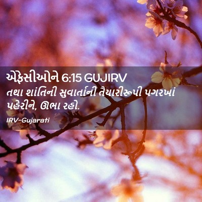 Picture 02 - એફેસીઓને 6:15 GUJIRV - તથા શાંતિની - Bible Verse Picture