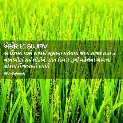 Picture 02 - એસ્તેર 1:5 GUJIRV - એ દિવસો પછી રાજાએ - Bible Verse Picture