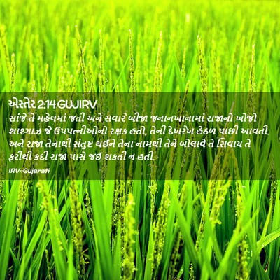 Picture 02 - એસ્તેર 2:14 GUJIRV - સાંજે તે મહેલમાં - Bible Verse Picture
