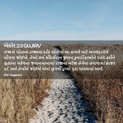 Picture 02 - એસ્તેર 2:3 GUJIRV - રાજાએ પોતાના - Bible Verse Picture