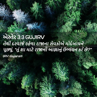 Picture 02 - એસ્તેર 3:3 GUJIRV - તેથી દરવાજે રહેલા - Bible Verse Picture