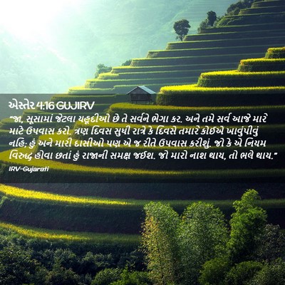 Picture 02 - એસ્તેર 4:16 GUJIRV - “જા, સૂસામાં જેટલા - Bible Verse Picture