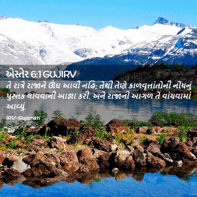 Picture 02 - એસ્તેર 6:1 GUJIRV - તે રાત્રે રાજાને - Bible Verse Picture