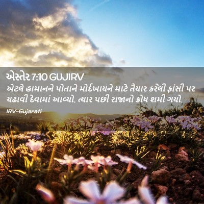 Picture 02 - એસ્તેર 7:10 GUJIRV - એટલે હામાનને - Bible Verse Picture