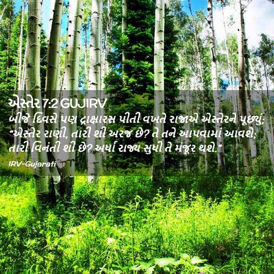 Picture 02 - એસ્તેર 7:2 GUJIRV - બીજે દિવસે પણ - Bible Verse Picture