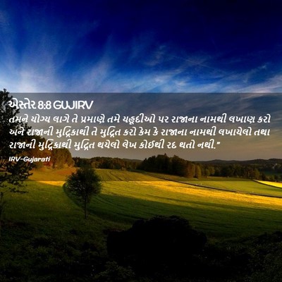 Picture 02 - એસ્તેર 8:8 GUJIRV - તમને યોગ્ય લાગે તે - Bible Verse Picture