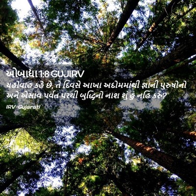 Picture 02 - ઓબાદ્યા 1:8 GUJIRV - યહોવાહ કહે છે, તે - Bible Verse Picture