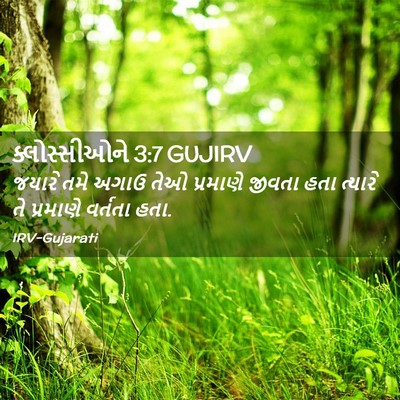 Picture 02 - ક્લોસ્સીઓને 3:7 GUJIRV - જયારે તમે અગાઉ તેઓ - Bible Verse Picture