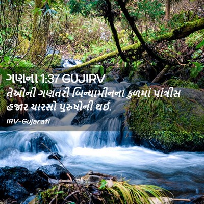 Picture 02 - ગણના 1:37 GUJIRV - તેઓની ગણતરી - Bible Verse Picture