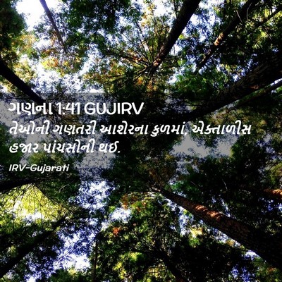Picture 02 - ગણના 1:41 GUJIRV - તેઓની ગણતરી - Bible Verse Picture