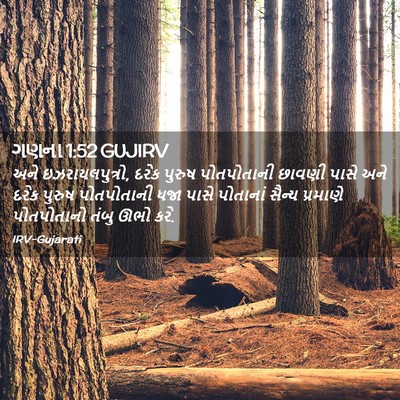 Picture 02 - ગણના 1:52 GUJIRV - અને ઇઝરાયલપુત્રો, - Bible Verse Picture