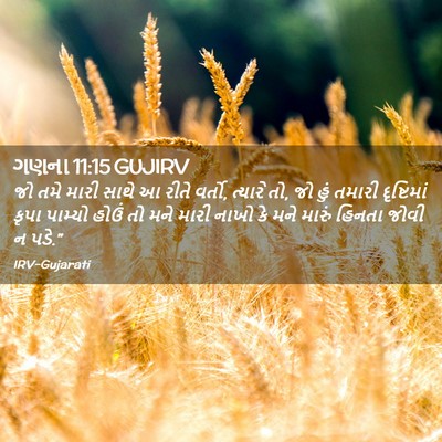 Picture 02 - ગણના 11:15 GUJIRV - જો તમે મારી સાથે આ - Bible Verse Picture
