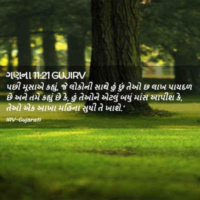 Picture 02 - ગણના 11:21 GUJIRV - પછી મૂસાએ કહ્યું, - Bible Verse Picture