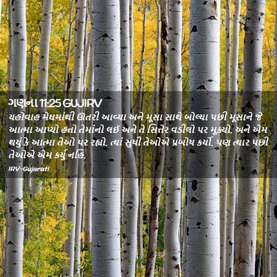 Picture 02 - ગણના 11:25 GUJIRV - યહોવાહ મેઘમાંથી - Bible Verse Picture