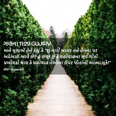 Picture 02 - ગણના 11:29 GUJIRV - અને મૂસાએ તેને - Bible Verse Picture