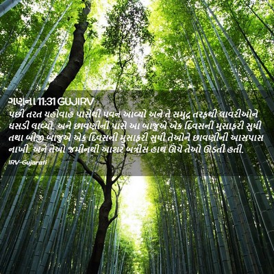 Picture 02 - ગણના 11:31 GUJIRV - પછી તરત યહોવાહ - Bible Verse Picture
