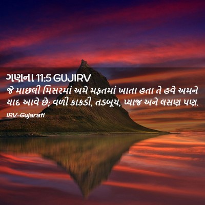 Picture 02 - ગણના 11:5 GUJIRV - જે માછલી મિસરમાં - Bible Verse Picture