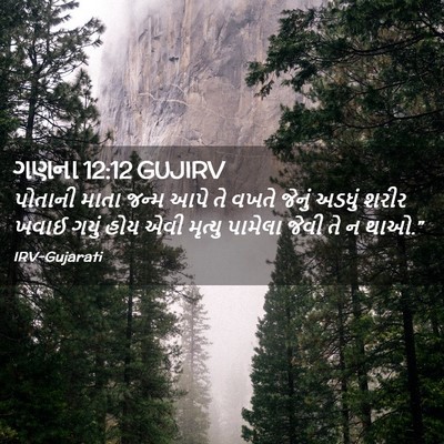 Picture 02 - ગણના 12:12 GUJIRV - પોતાની માતા જન્મ - Bible Verse Picture