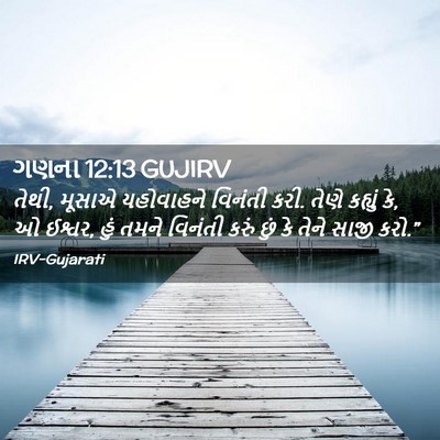Picture 02 - ગણના 12:13 GUJIRV - તેથી, મૂસાએ - Bible Verse Picture