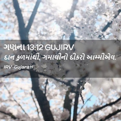 Picture 02 - ગણના 13:12 GUJIRV - દાન કુળમાંથી, - Bible Verse Picture