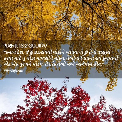 Picture 02 - ગણના 13:2 GUJIRV - “કનાન દેશ, જે હું - Bible Verse Picture