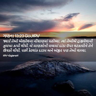 Picture 02 - ગણના 13:23 GUJIRV - જ્યારે તેઓ - Bible Verse Picture