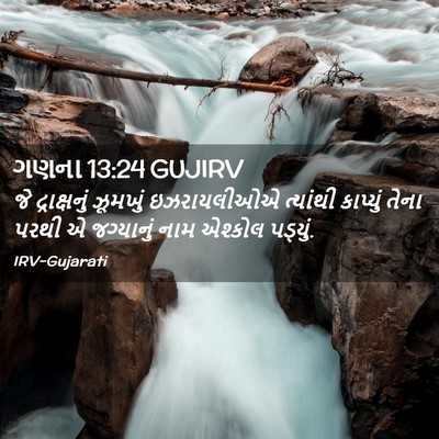 Picture 02 - ગણના 13:24 GUJIRV - જે દ્રાક્ષનું - Bible Verse Picture
