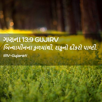 Picture 02 - ગણના 13:9 GUJIRV - બિન્યામીનના - Bible Verse Picture