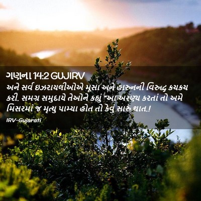 Picture 02 - ગણના 14:2 GUJIRV - અને સર્વ - Bible Verse Picture