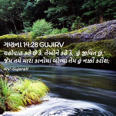 Picture 02 - ગણના 14:28 GUJIRV - યહોવાહ કહે છે કે, - Bible Verse Picture