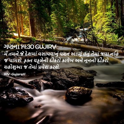 Picture 02 - ગણના 14:30 GUJIRV - મેં તમને જે દેશમાં - Bible Verse Picture