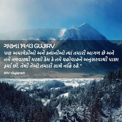 Picture 02 - ગણના 14:43 GUJIRV - પણ અમાલેકીઓ અને - Bible Verse Picture