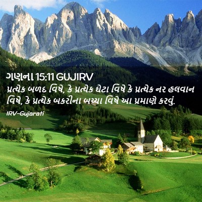 Picture 02 - ગણના 15:11 GUJIRV - પ્રત્યેક બળદ વિષે, - Bible Verse Picture