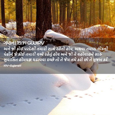 Picture 02 - ગણના 15:14 GUJIRV - અને જો કોઈ પરદેશી - Bible Verse Picture