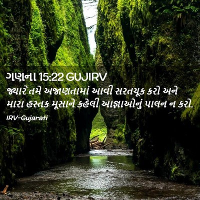 Picture 02 - ગણના 15:22 GUJIRV - જ્યારે તમે - Bible Verse Picture