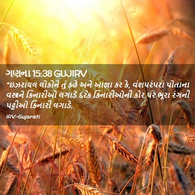 Picture 02 - ગણના 15:38 GUJIRV - “ઇઝરાયલ લોકોને - Bible Verse Picture