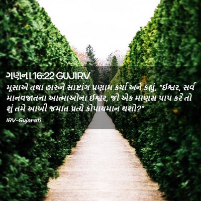 Picture 02 - ગણના 16:22 GUJIRV - મૂસાએ તથા હારુને - Bible Verse Picture
