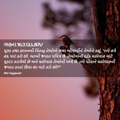 Picture 02 - ગણના 16:3 GUJIRV - મૂસા તથા હારુનની - Bible Verse Picture