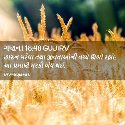 Picture 02 - ગણના 16:48 GUJIRV - હારુન મરેલા તથા - Bible Verse Picture