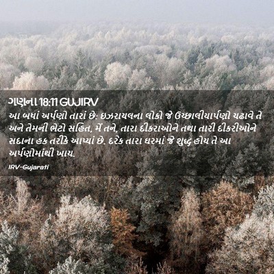 Picture 02 - ગણના 18:11 GUJIRV - આ બધાં અર્પણો - Bible Verse Picture