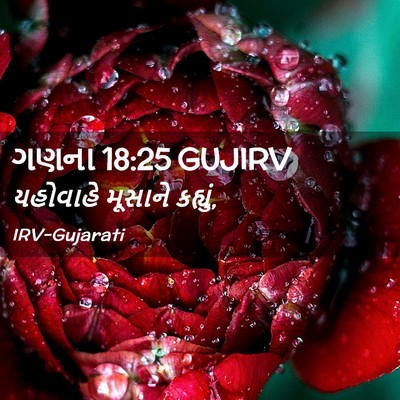 Picture 02 - ગણના 18:25 GUJIRV - યહોવાહે મૂસાને - Bible Verse Picture