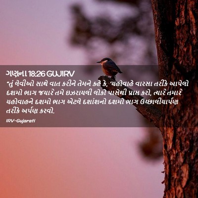 Picture 02 - ગણના 18:26 GUJIRV - “તું લેવીઓ સાથે - Bible Verse Picture