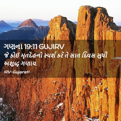 Picture 02 - ગણના 19:11 GUJIRV - જે કોઈ મૃતદેહનો - Bible Verse Picture