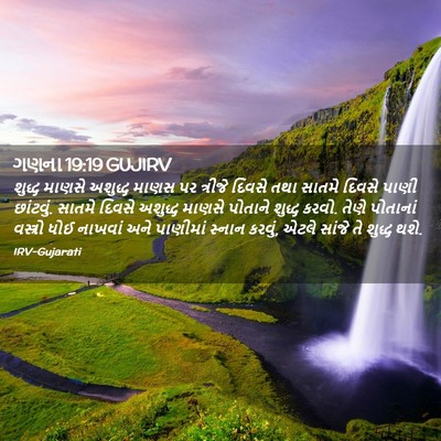Picture 02 - ગણના 19:19 GUJIRV - શુદ્ધ માણસે - Bible Verse Picture