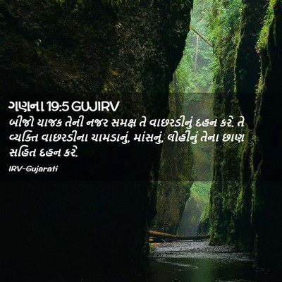 Picture 02 - ગણના 19:5 GUJIRV - બીજો યાજક તેની નજર - Bible Verse Picture