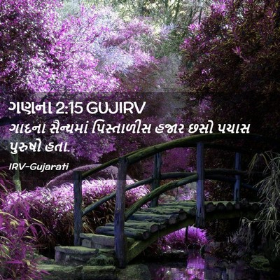 Picture 02 - ગણના 2:15 GUJIRV - ગાદના સૈન્યમાં - Bible Verse Picture